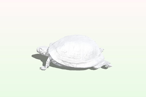 Box Turtle | 3d print model