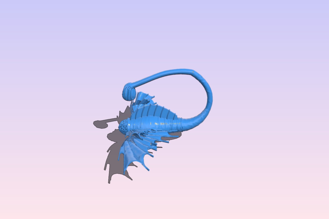 vincis flying dickfish
