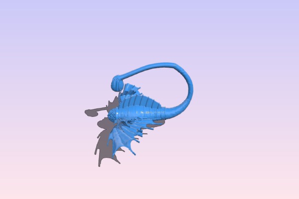 vincis flying dickfish | 3d print model