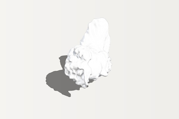 Bre's Beard | 3d print model