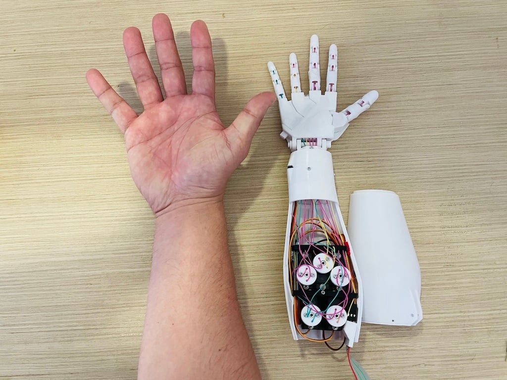 64 Size Inmoov Right Hand