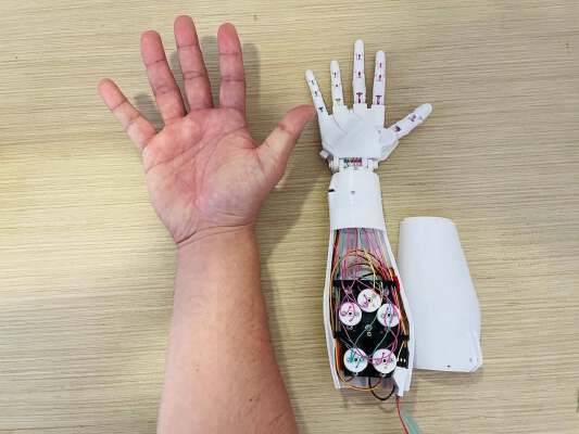 64 Size Inmoov Right Hand | 3d print model