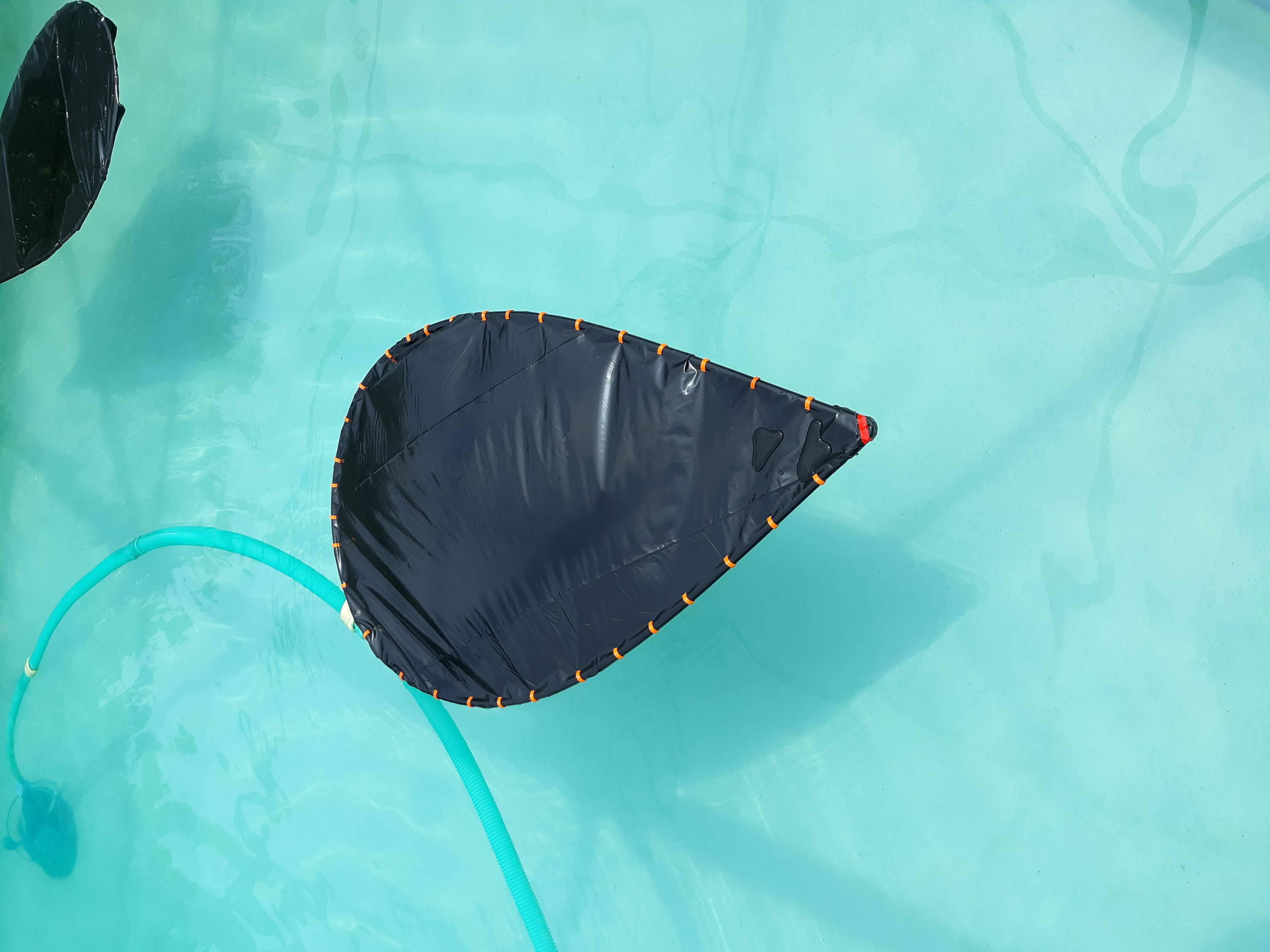 Pool Lily Pad Flower Passive Heater