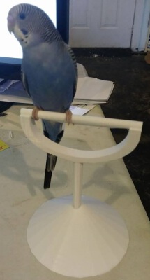 Desktop Perch for Birds | 3d print model