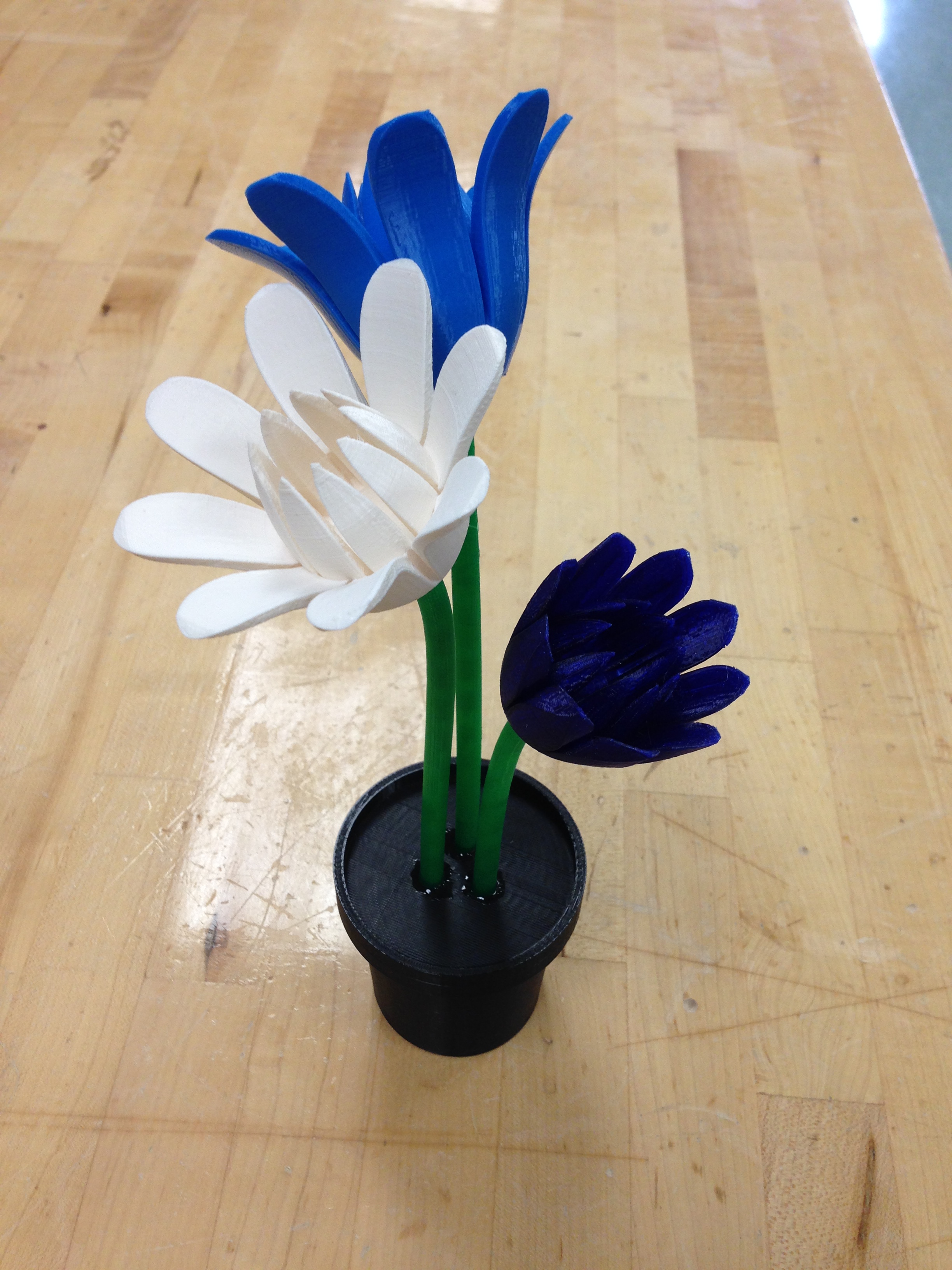 Flowers and Pot