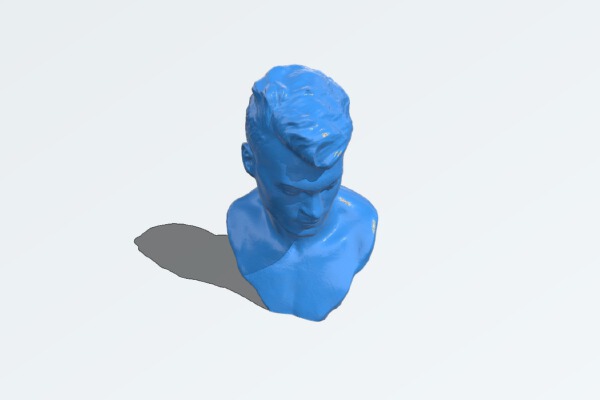 Head of a young man | 3d print model