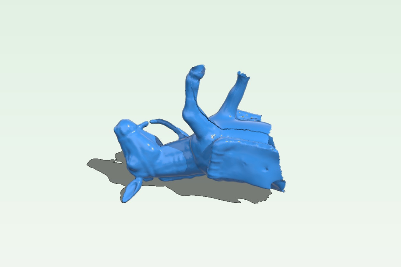 Donkey 3D scan