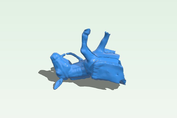 Donkey 3D scan | 3d print model