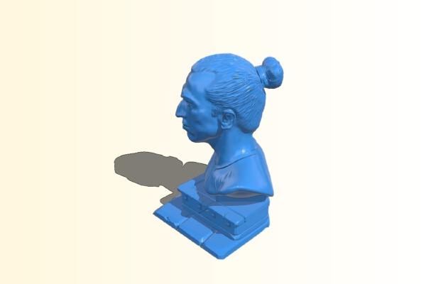 Zlatan Ibrahimović – Swedish former footballer | 3d print model