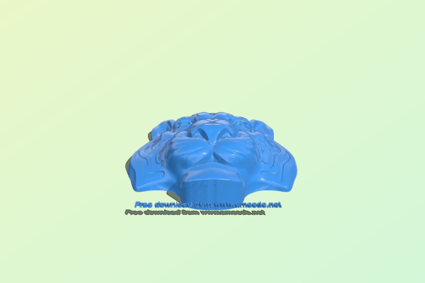 Tiger head