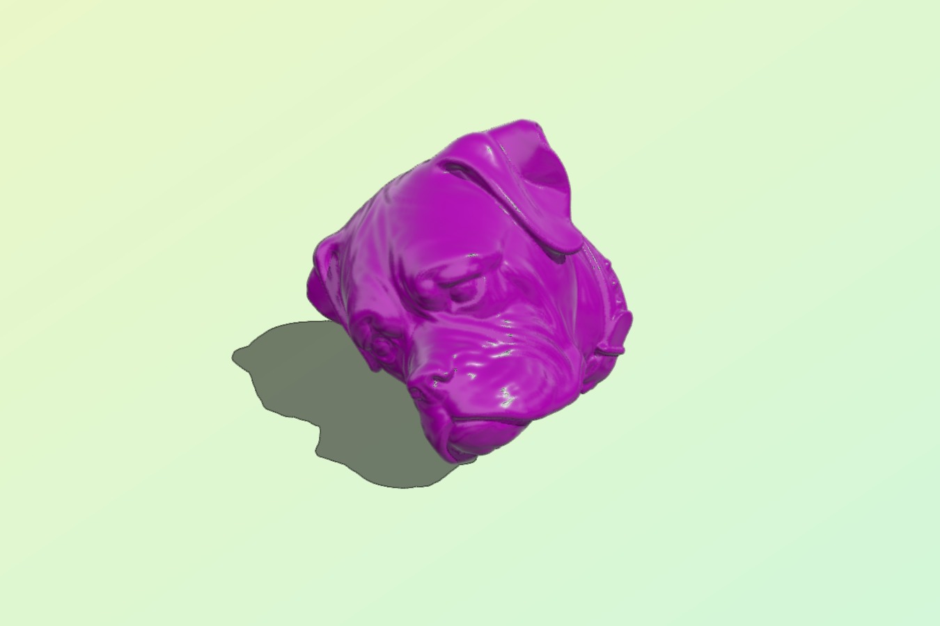 Boxer head – dog