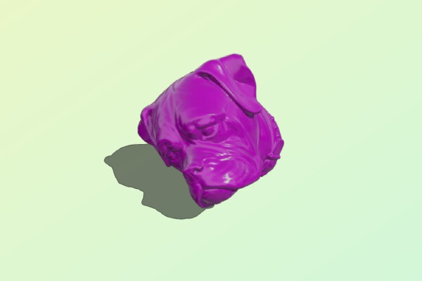 Boxer head – dog | 3d print model