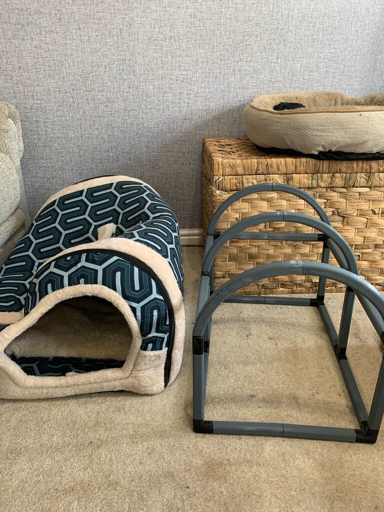 Cat Cave Scaffolding