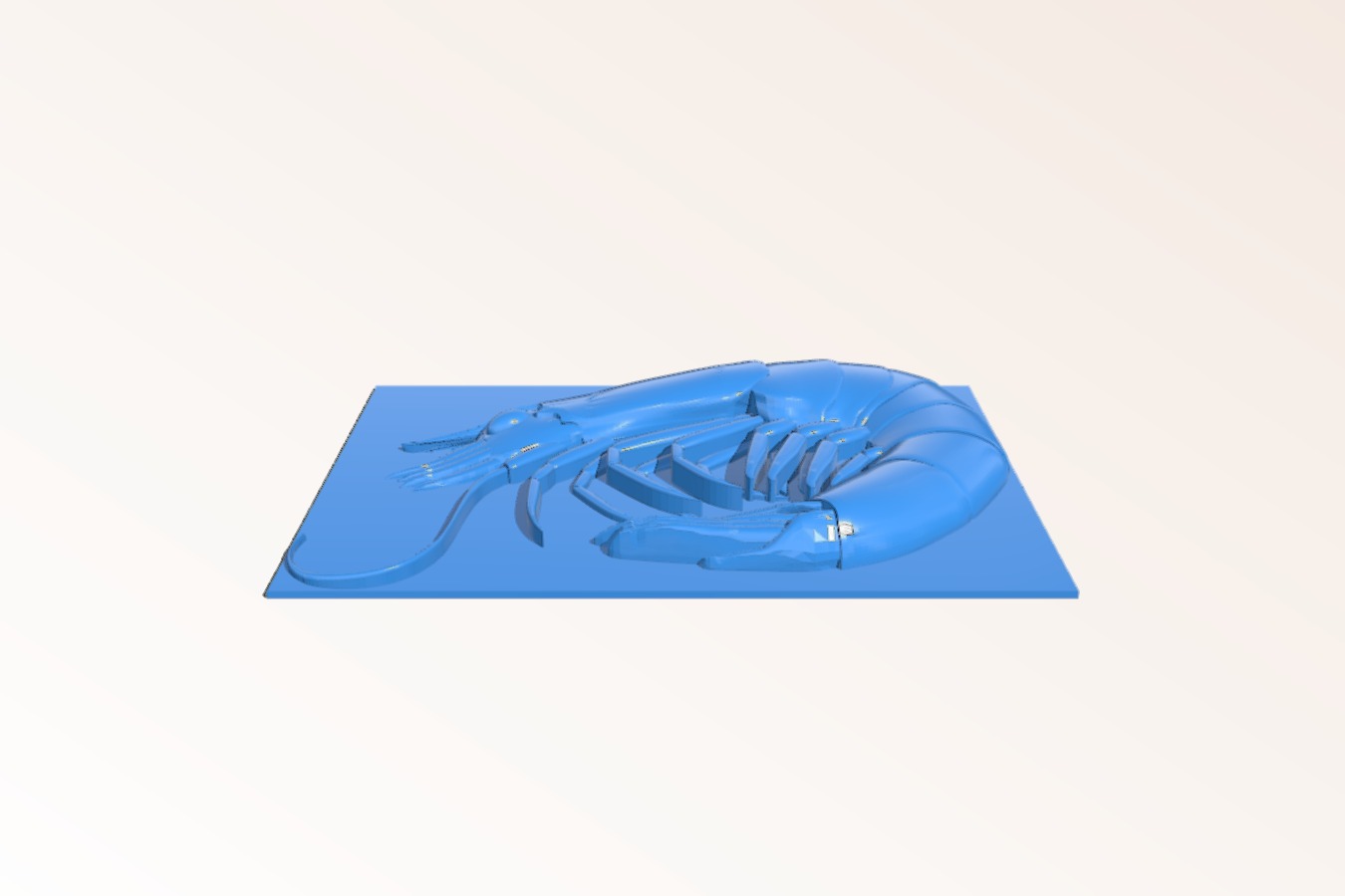 Shrimp