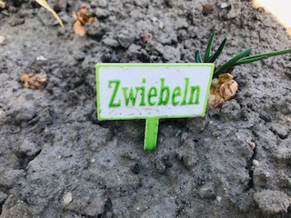 Kräuter im Garten