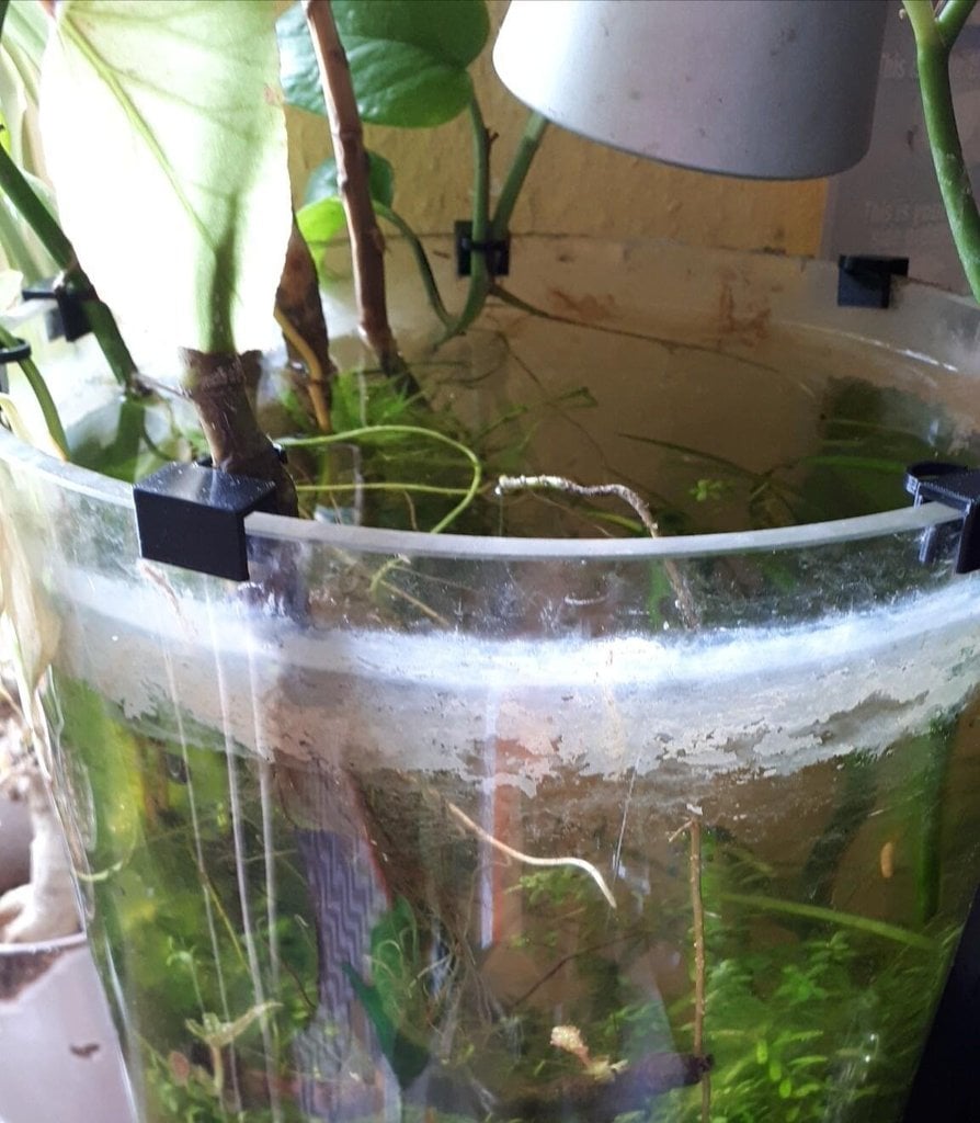 aquarium plant clip