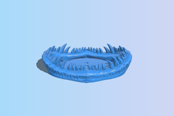T-Rex dish _ card holder | 3d print model
