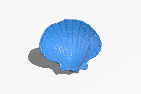 Soap dish seashell | 3d print model