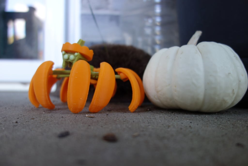 Spectacular Spider Pumpkin