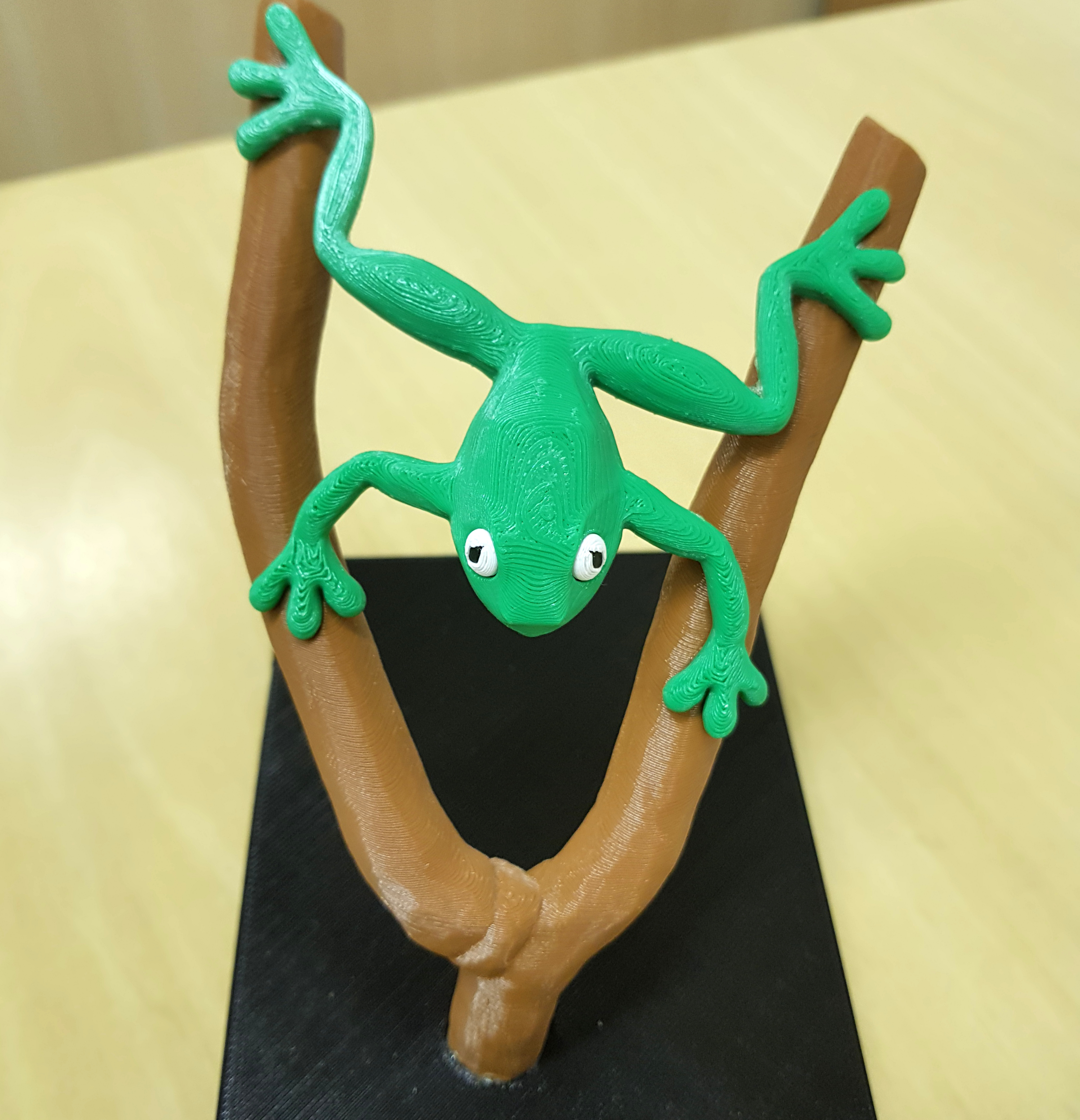 Frog on branches - multi-color