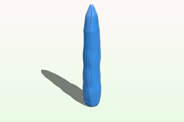 Carrot | 3d print model