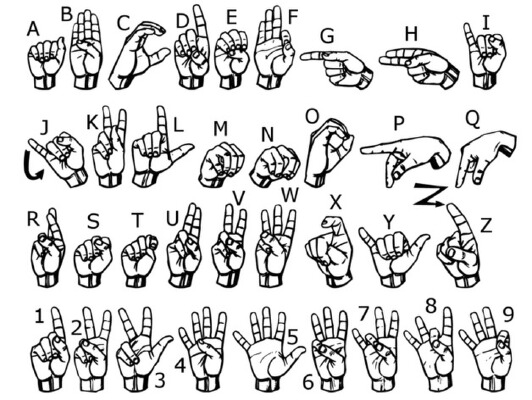 Individual ASL Letters | 3d print model
