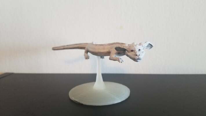 Falkor | 3d print model