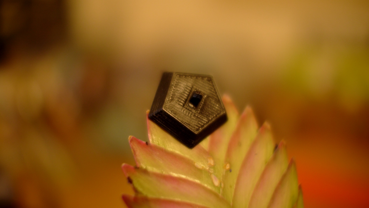 a2d52e8f-69bf-4070-874d-e73c5900fd61