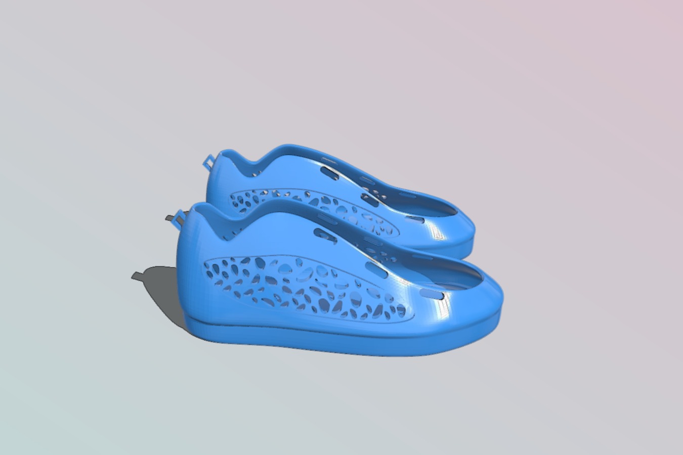 Leopard shoes