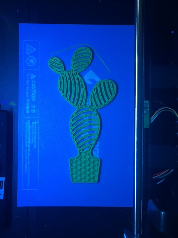 CACTUS DOOR STOPPER