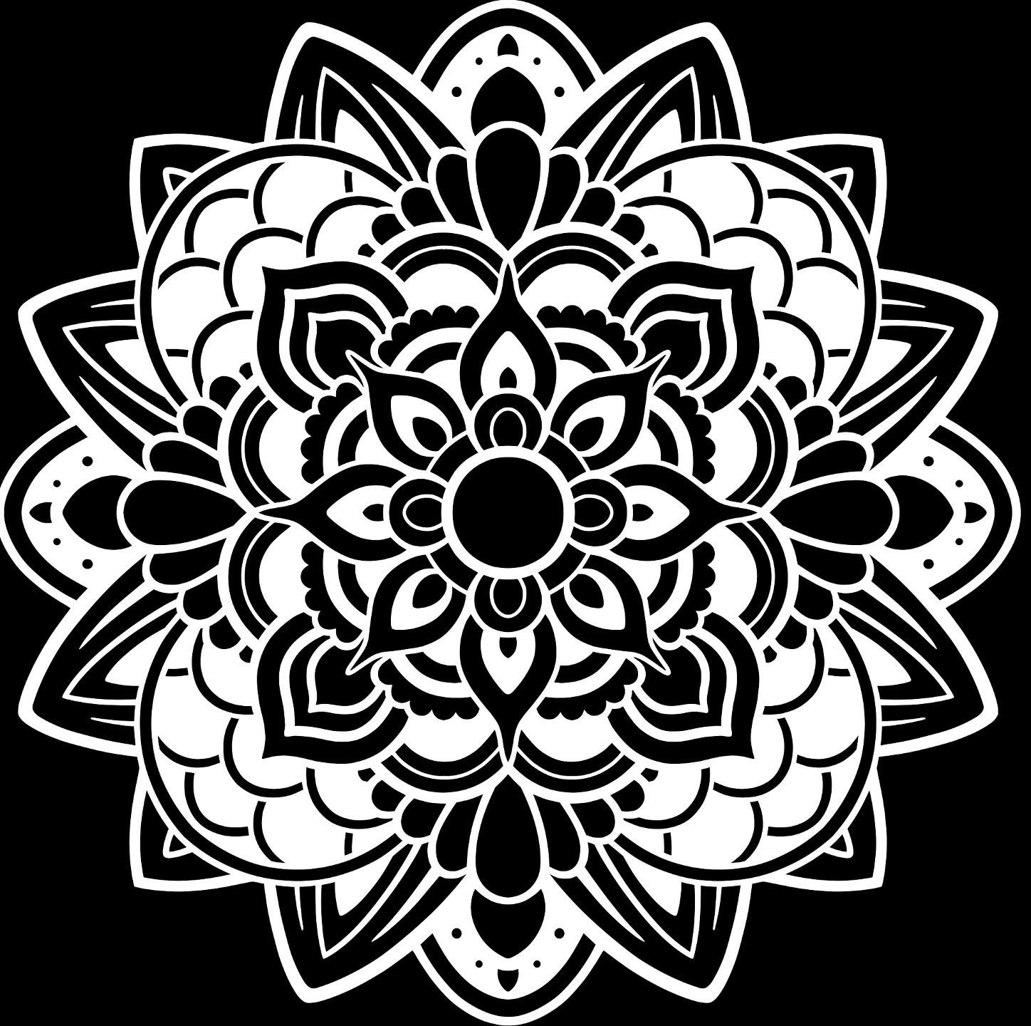 05fe5558-e6ed-472c-ad43-28c38c803ca9