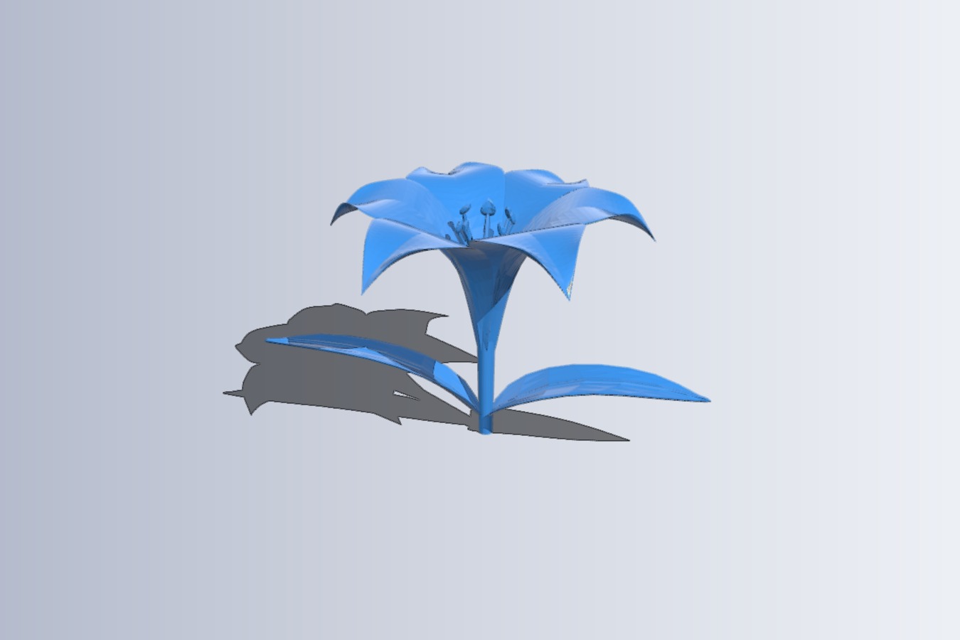 the lily