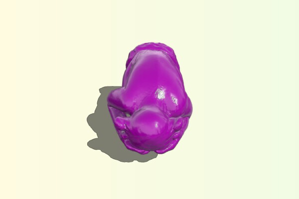 Scimmia saggia (wise monkey) 3d scan | 3d print model