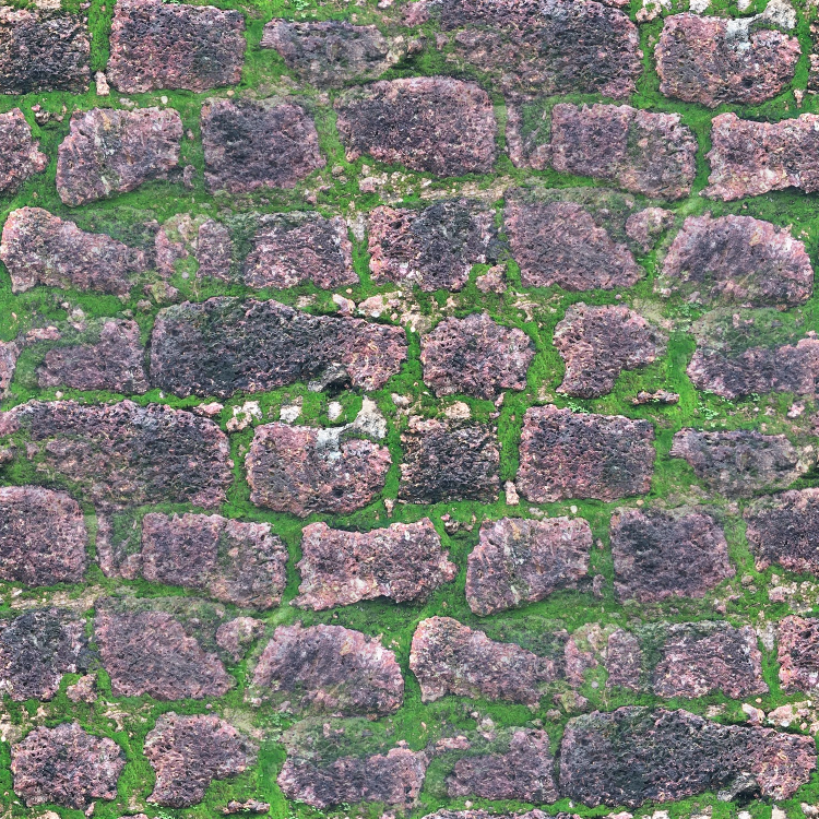 726979f9-b053-488d-bf2d-868b1731b28a