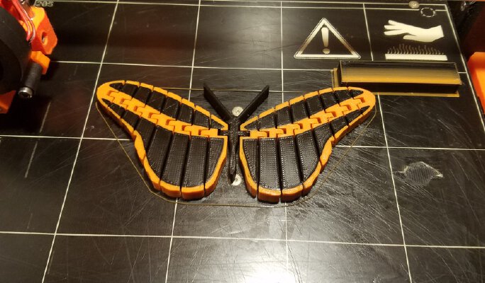 Articulated Butterfly (two color) | 3d print model