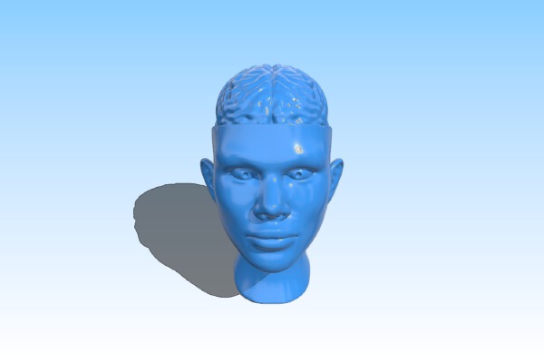 Paperweight Brain Head | 3d print model