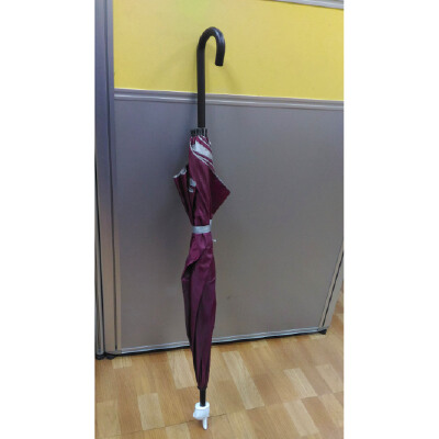Umbrella Pointer | 3d print model