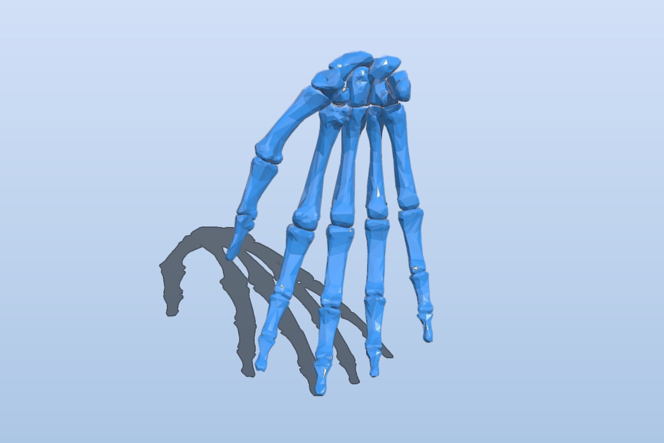 Right hand bone