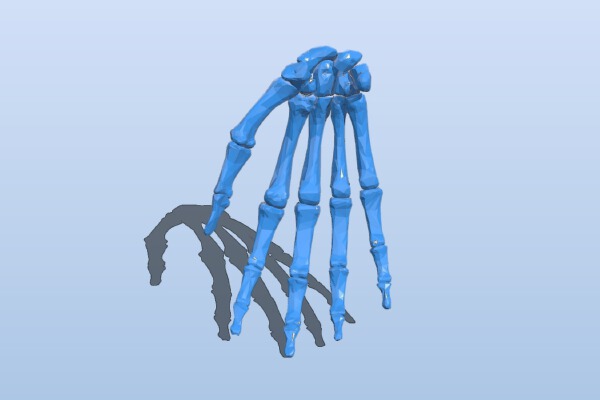 Right hand bone | 3d print model