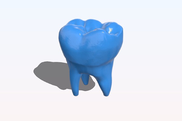 human tooth model | 3d print model