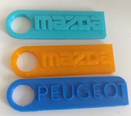 Keychain for Peugeot, Skoda, Audi, Land Rover etc | 3d print model