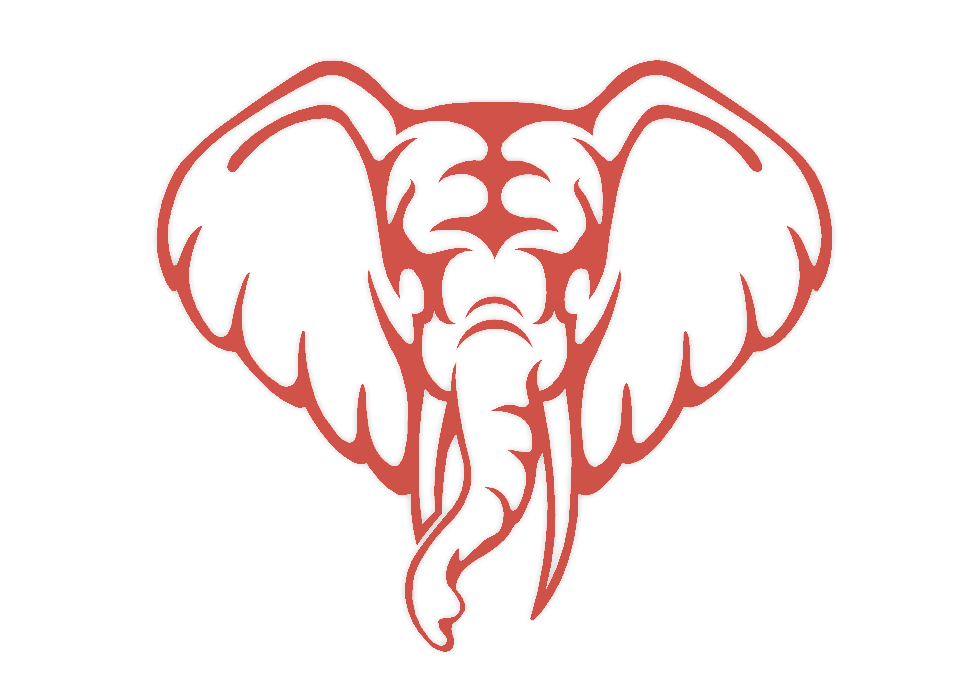 wall decoration elephant