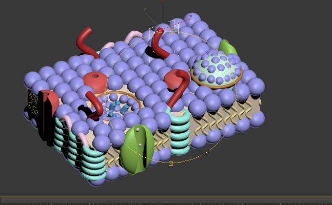 cell membrane | 3d print model