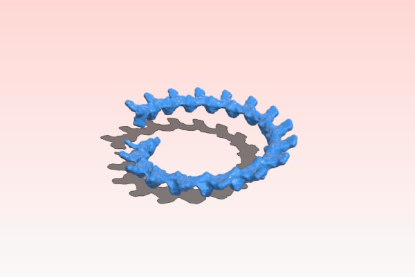 Tobacco Mosaic Virus (TMV) | 3d print model