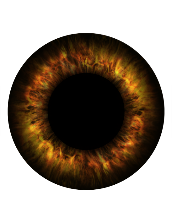 97c89ca3-bf94-417e-aee2-fbca9d9b387b