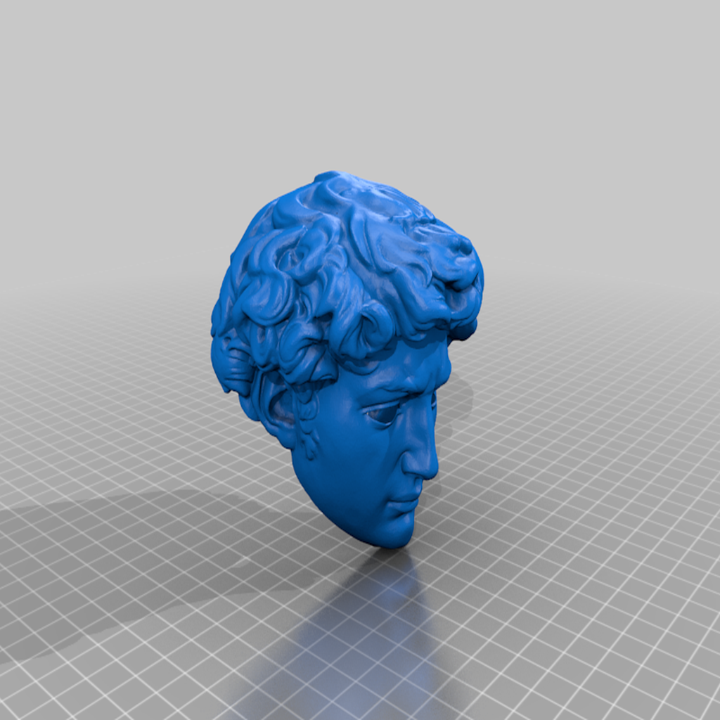 Michaelangelo's David Mask
