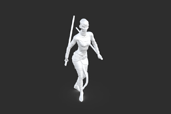 female soldier holds two swords | 3d print model