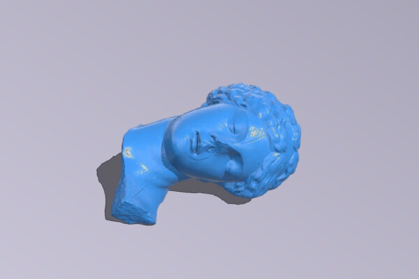 Head of a sleeping girl | 3d print model
