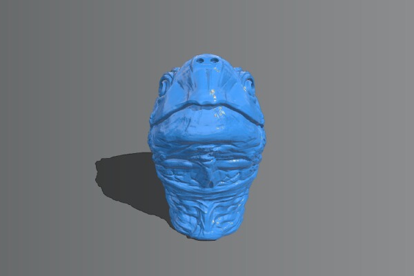 Turtle Head | 3d print model