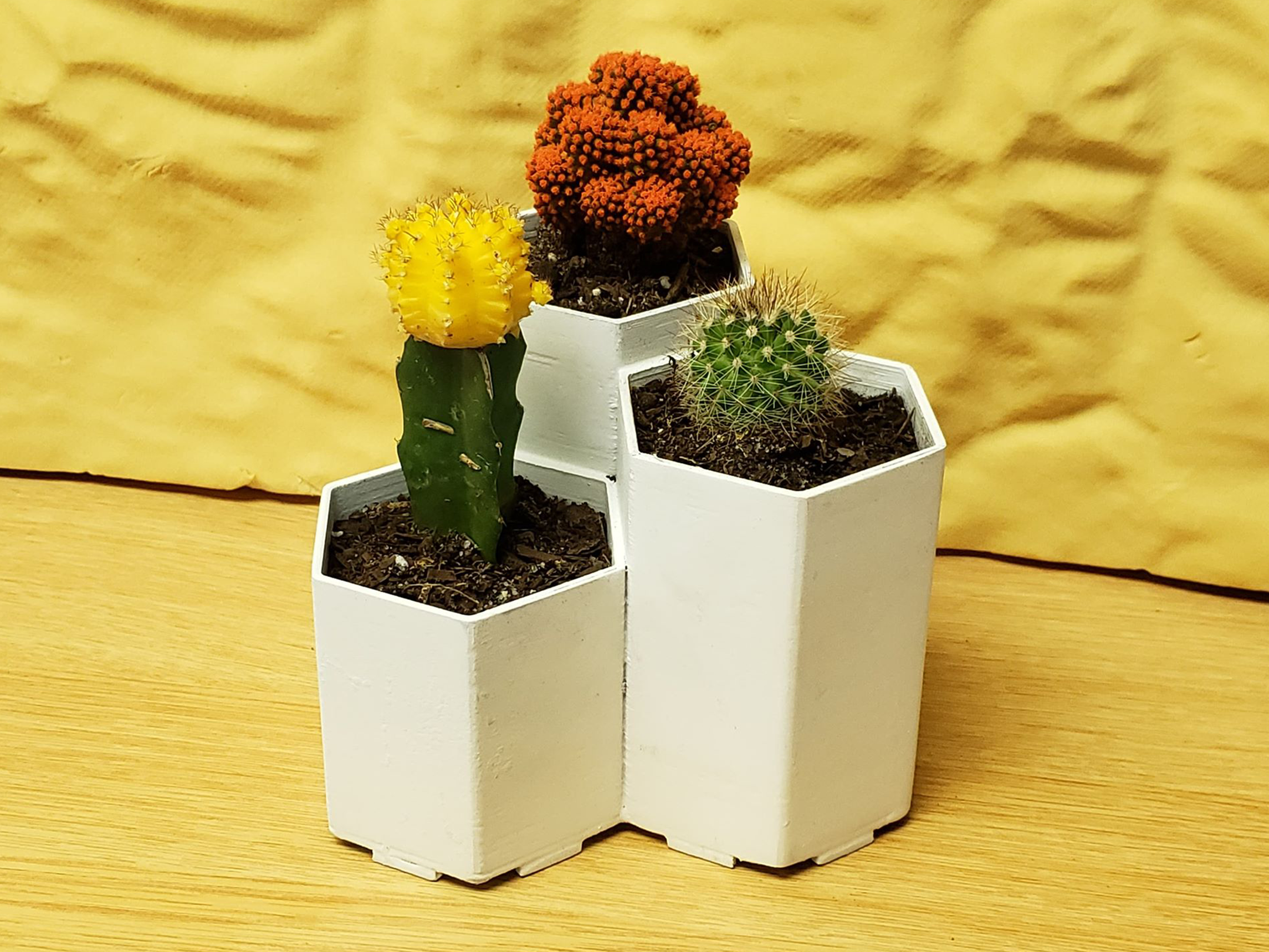 Simple Hexagon Planter